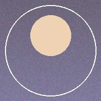 用户林美琪头像